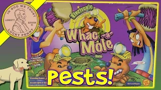 How To Play The Game Electronic Whac-a-Mole Family Game - Time To Whac Some Moles!