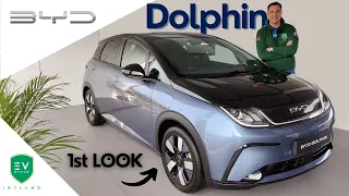 BYD Dolphin - 1st Look