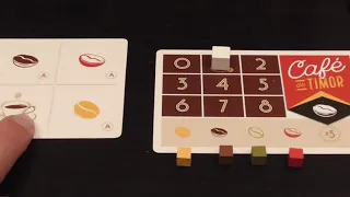 Video Review