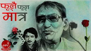 Phoolai Phool Matra YouTube Video Thumbnail