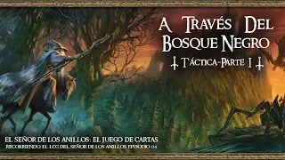 04 A TRAVÉS DEL BOSQUE NEGRO: TÁCTICA. PARTE I