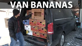 Mercedes EQV banana box test