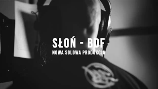 Słoń - BDF - Nowe Solo