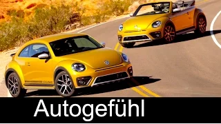 All-new VW Volkswagen Beetle Dune & Convertible Exterior/Interior Preview