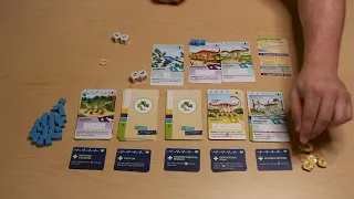 How to play Paleovet