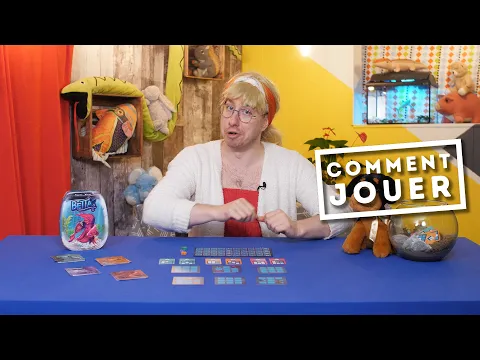 Betta - Comment jouer