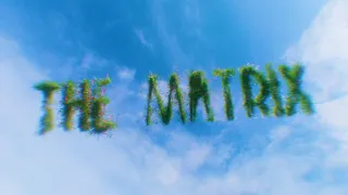 Mother Mother - The Matrix (Official Music Video)