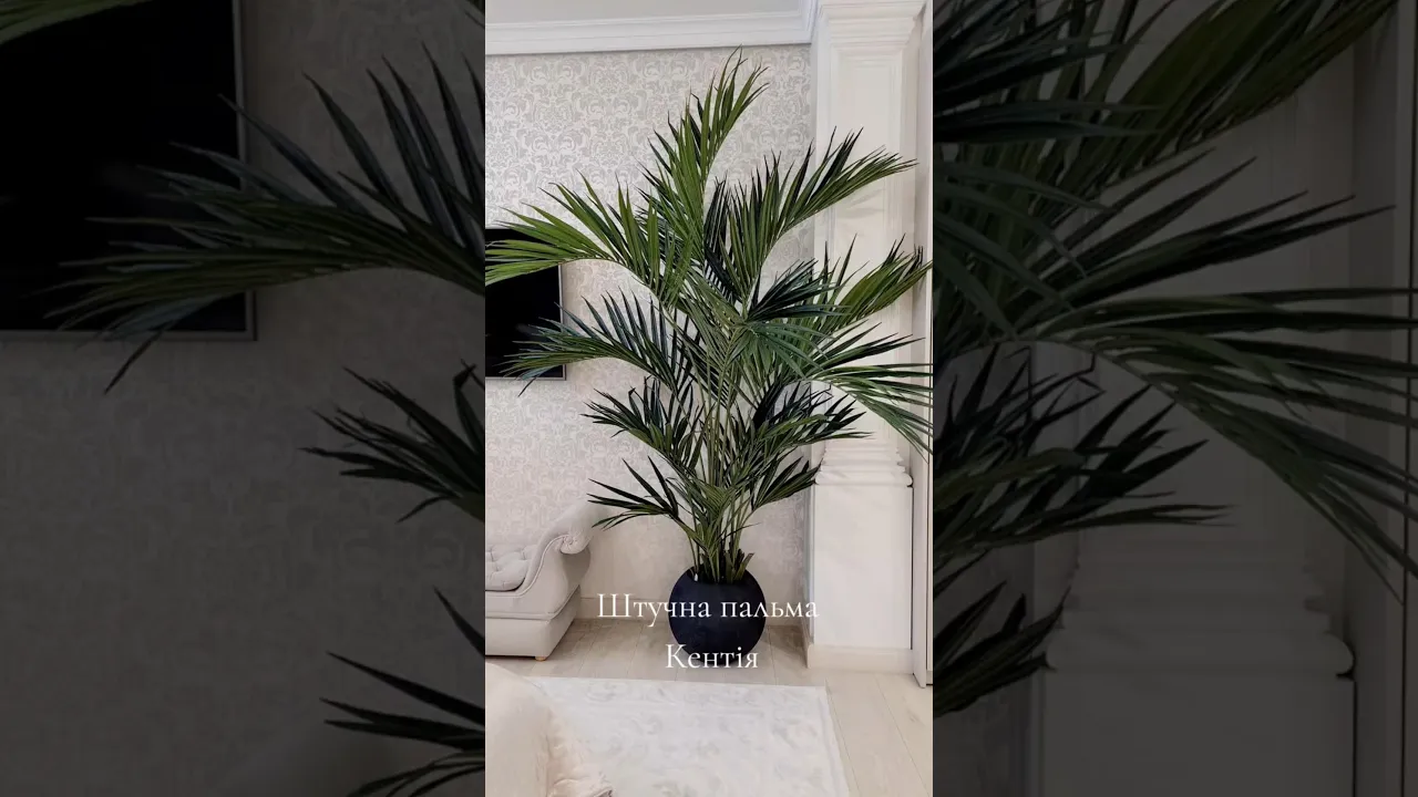 Plant pot SFERA XL Black Ø52cm from K&K buy for € 100.50 in Ukraine.