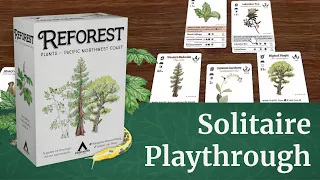 Reforest Solitaire Playthrough