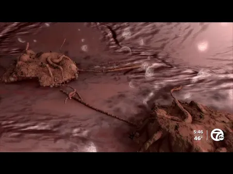 youtube-video-thumbnail
