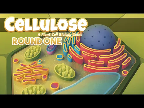 Cellulose - Round One Playthrough