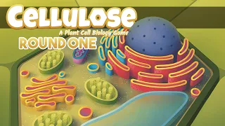 Cellulose - Round One Playthrough