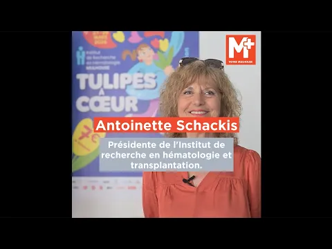 « L’opération Tulipes à cœur, c’est 150 000 euros pour financer les recherches de l’IRHT »