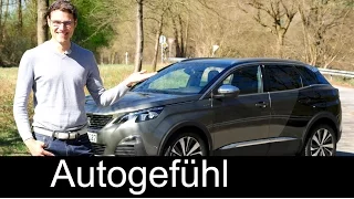 Autogefühl Community Update: next reviews, 160 k Subs, Brian joins the team!