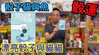 又一款賭狗小品骰子貓與魚Dice cat &Fish-桌遊教學試玩#502