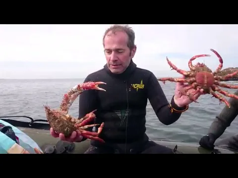 Vignette de la vidéo