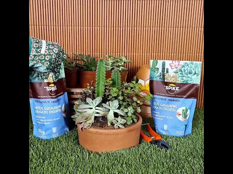 Fertlizante Cacto e Suculenta Orgânico