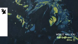 Audien feat. Cate Downey - Wish It Was You (Nils Hoffmann Remix) [Official Visualizer]