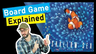 Is Shallow Sea for you? A Quick Overview!