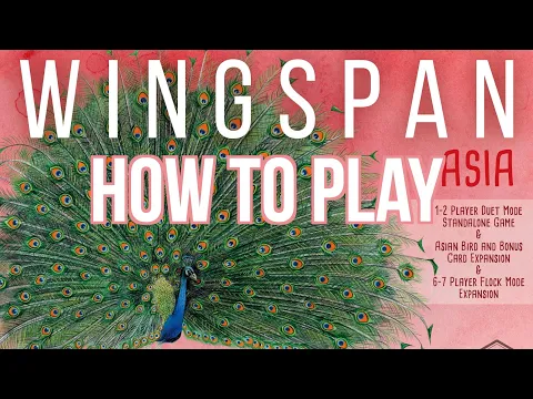 How to Play Duet Mode for Wingspan (Asia Expansion) - Bored Online? Board Offline!