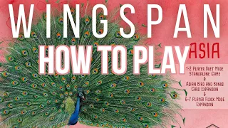 How to Play Duet Mode for Wingspan (Asia Expansion) - Bored Online? Board Offline!