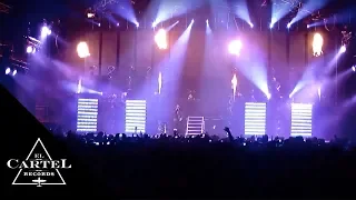 Daddy Yankee - Mundial Tour - Bruselas [Live]