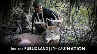 Indiana PUBLIC LAND Buck Indiana PUBLIC LAND Buck