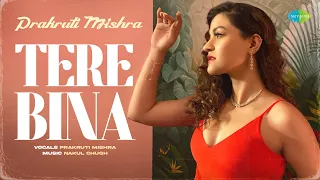 Tere Bina | Prakruti Mishra | Nakul Chugh | Saregama Recreations | Old Hindi Songs