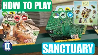 SANCTUARY: How To Play This Simpler Version of Ark Nova