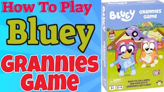 How To Play Bluey Grannies Game