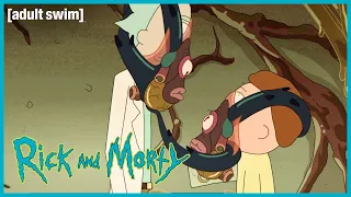 Steve and Bruce | Rick and Morty | adult swim