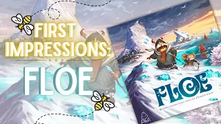 Floe: First Impressions