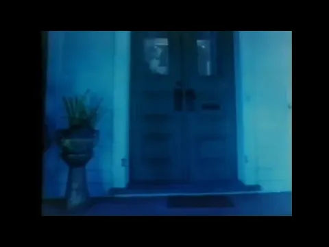 Adverts, USA Vs UK - The Game of Life (1977)