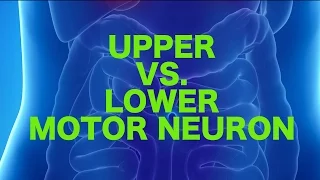 Upper vs. Lower Motor Neuron Lesions || USMLE