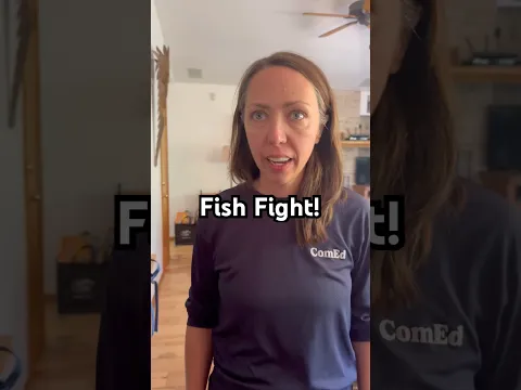Fish Fight is So Dumb & So Fun! #partygames #familygames #gamenight #games #boardgames