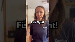Fish Fight is So Dumb & So Fun! #partygames #familygames #gamenight #games #boardgames