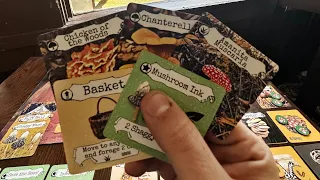 Mushroom Foray Card Game: Forage, Grow, Heal the Earth