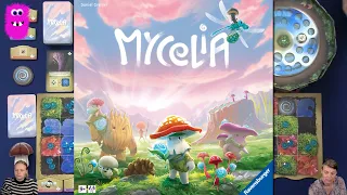 Mycelia, Playthrough