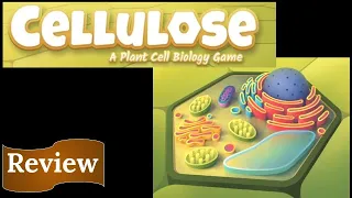 Cellulose: A Plant Cell Biology Game - Review