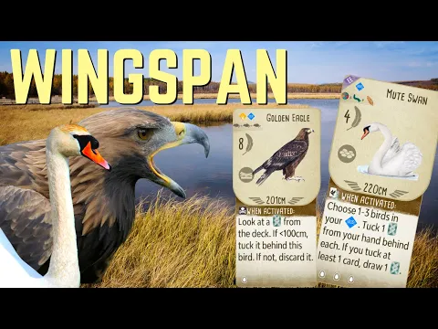Wingspan Gameplay: Mute Swan Rocks The Flock