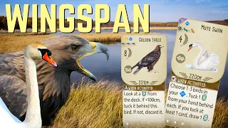 Wingspan Gameplay: Mute Swan Rocks The Flock
