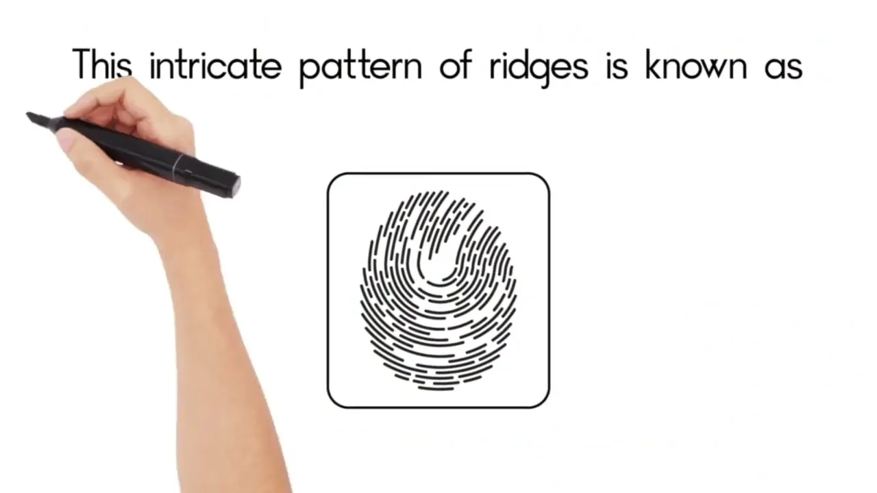 Video de SuperPatchArg