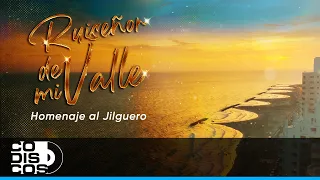 Ruiseñor De Mi Valle, Saxofones & Violines Vallenatos - Vídeo Oficial