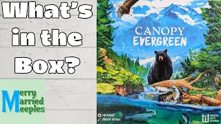 Canopy Evergreen - Unboxing