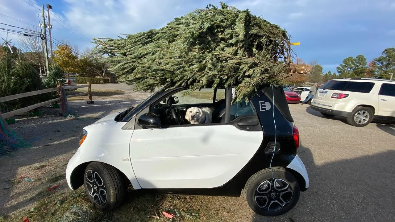 Christmas Tree Shopping With Our Electric Smart Car