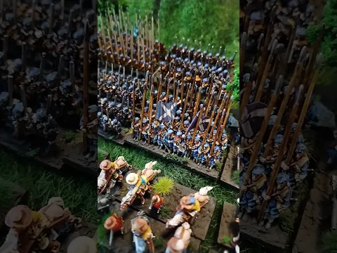 Full Swedish army for 30 years war using Pikemans Lament #wargaming rules