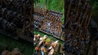 Full Swedish army for 30 years war using Pikemans Lament #wargaming rules