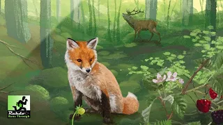 Forest Shuffle A Rahdo Runthrough by Ruel
