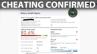 Zeva reports about LG battery degradation, odometer cheating and upgrading to 100 kWh battery