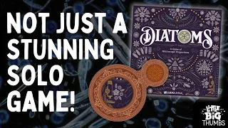 Diatoms | Awesomely Artful Algae Arrangements!